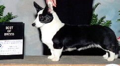 Jenna Franklin TN BOB0302