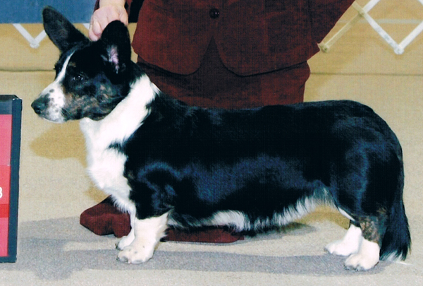 2011-11 Alley Priceville