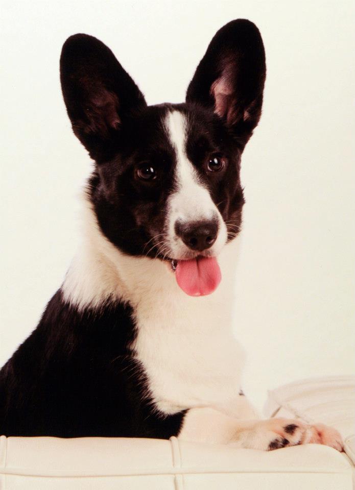 2012-12-15 Bridget1