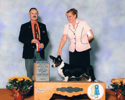 Alley Tupelo BOS BBE