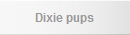 Dixie pups