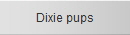 Dixie pups