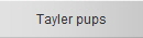 Tayler pups