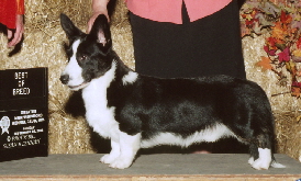 2008-09 Murfreesboro BOB202