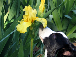 20080420c