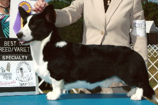 2010-09-04_Rush_BOB_Lexington302