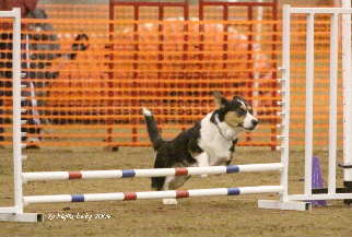 Byrd 4x6 IMG_891902