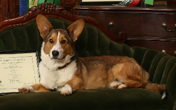 Freki201002
