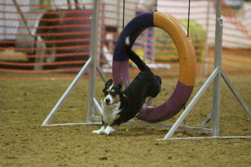 IMG_0668