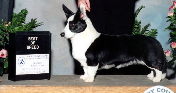 Jenna Franklin-TN BOBa