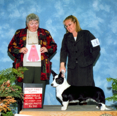 Jenna Puppy Group 10602