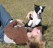Jenna attack puppy04