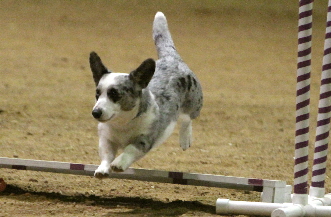 Laceyjump02