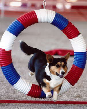 Tayler tire03